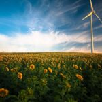 sunflowers, windmill, field, farm, sunflower farm, wind turbine, agriculture, beautiful flowers, sunflower field, wind energy, renewable energy, flower wallpaper, wind power, flower background, clouds, flora, flowers, idyllic, nature, peaceful, plants, rural, sky
